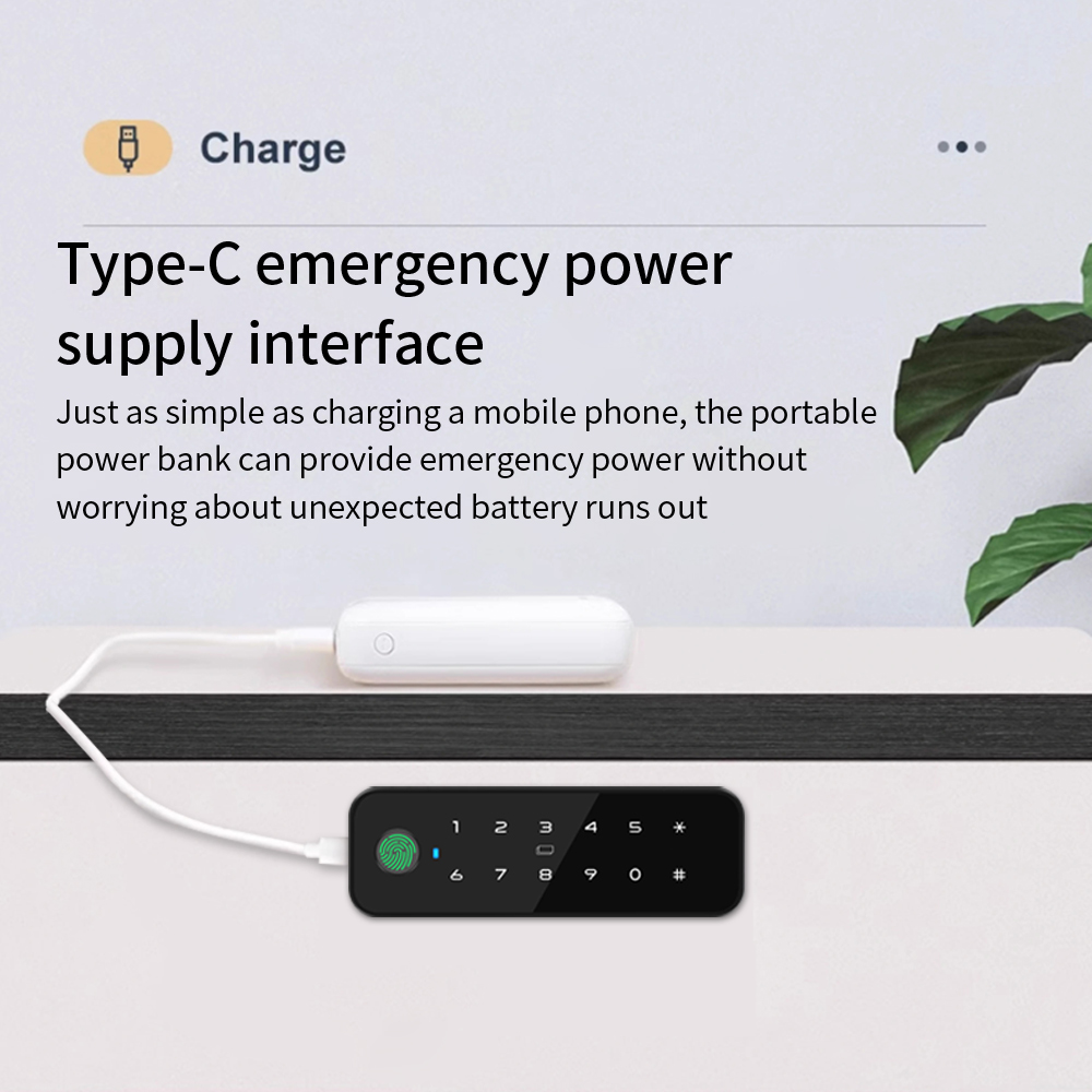 Tuya Bluetooth スマート木製キャビネット指紋ロ - Smart Door Lock のレビューと価格