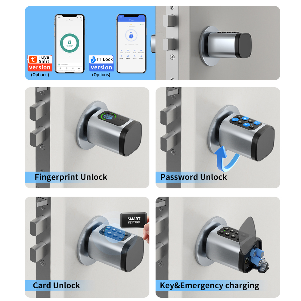 RAYKUBE V1 Tuya BLE TT ロックスマート - Smart Home Technology のレビューと価格