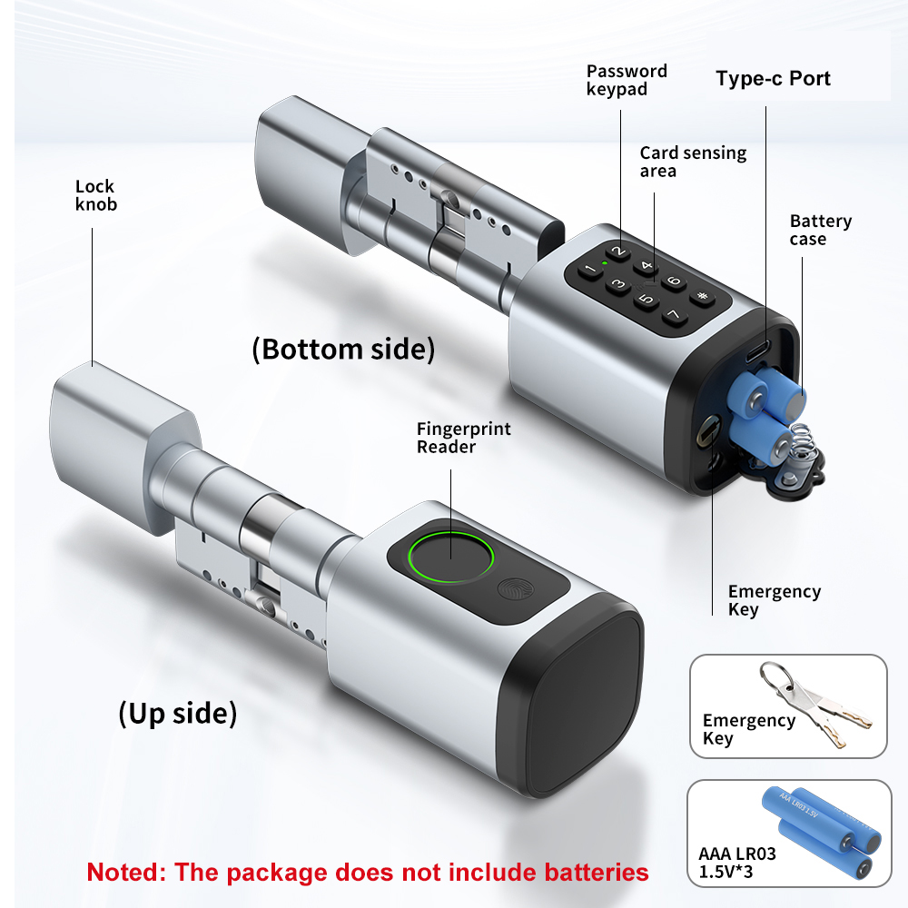 RAYKUBE V1 Tuya BLE TT ロックスマート - Smart Home Technology のレビューと価格